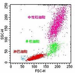 临床科研常见检测项目